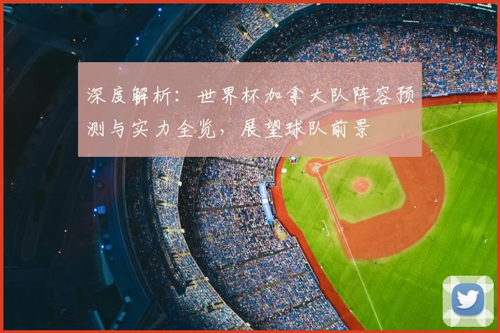 深度解析:世界杯加拿大队阵容预测与实力全览,展望球队前景